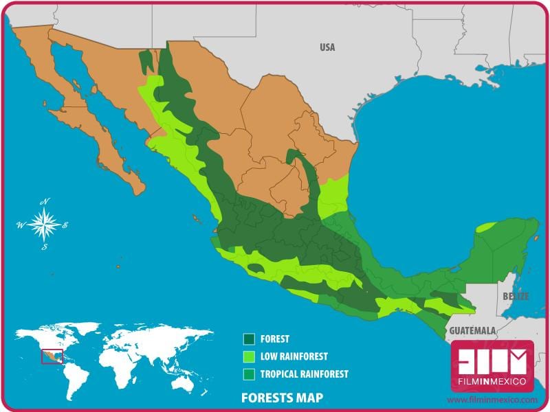 kort af Mexíkó skógum