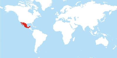 Staðsetning Mexíkó í heiminum kort